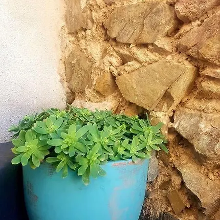Holiday home El Corralet Del Lloar, Vistes Infinites Al Priorat